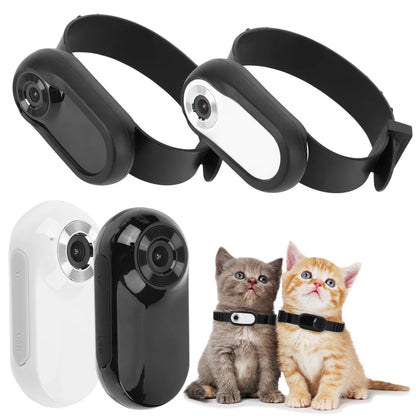 Pet Collar With Camera! - homecomforts1