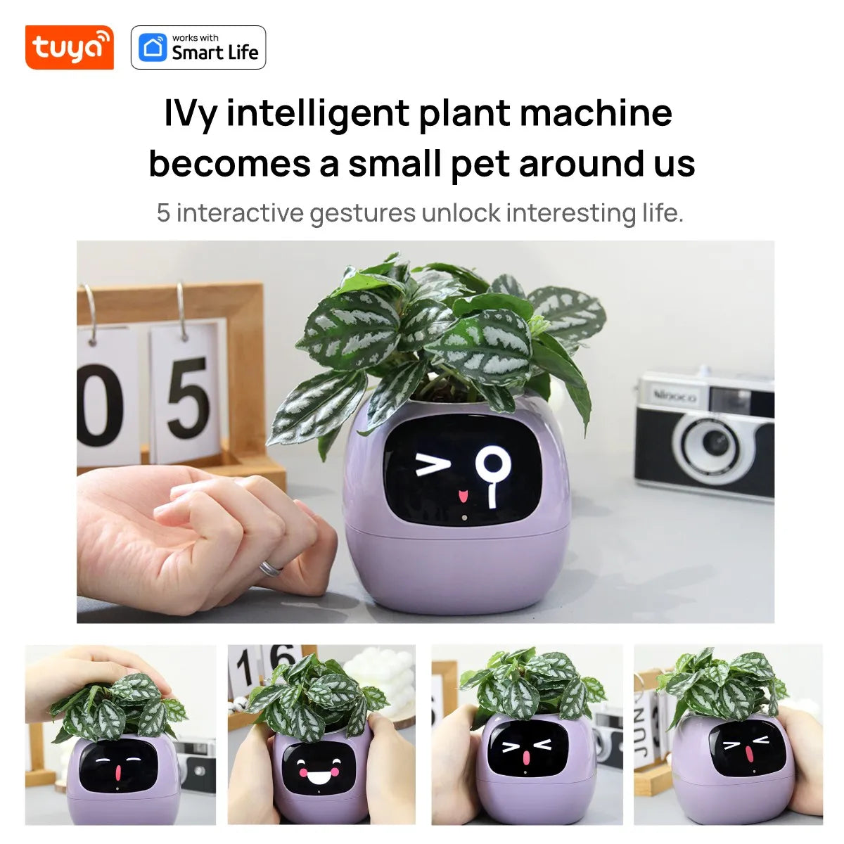 Tuya Ivy Smart Planter! - homecomforts1