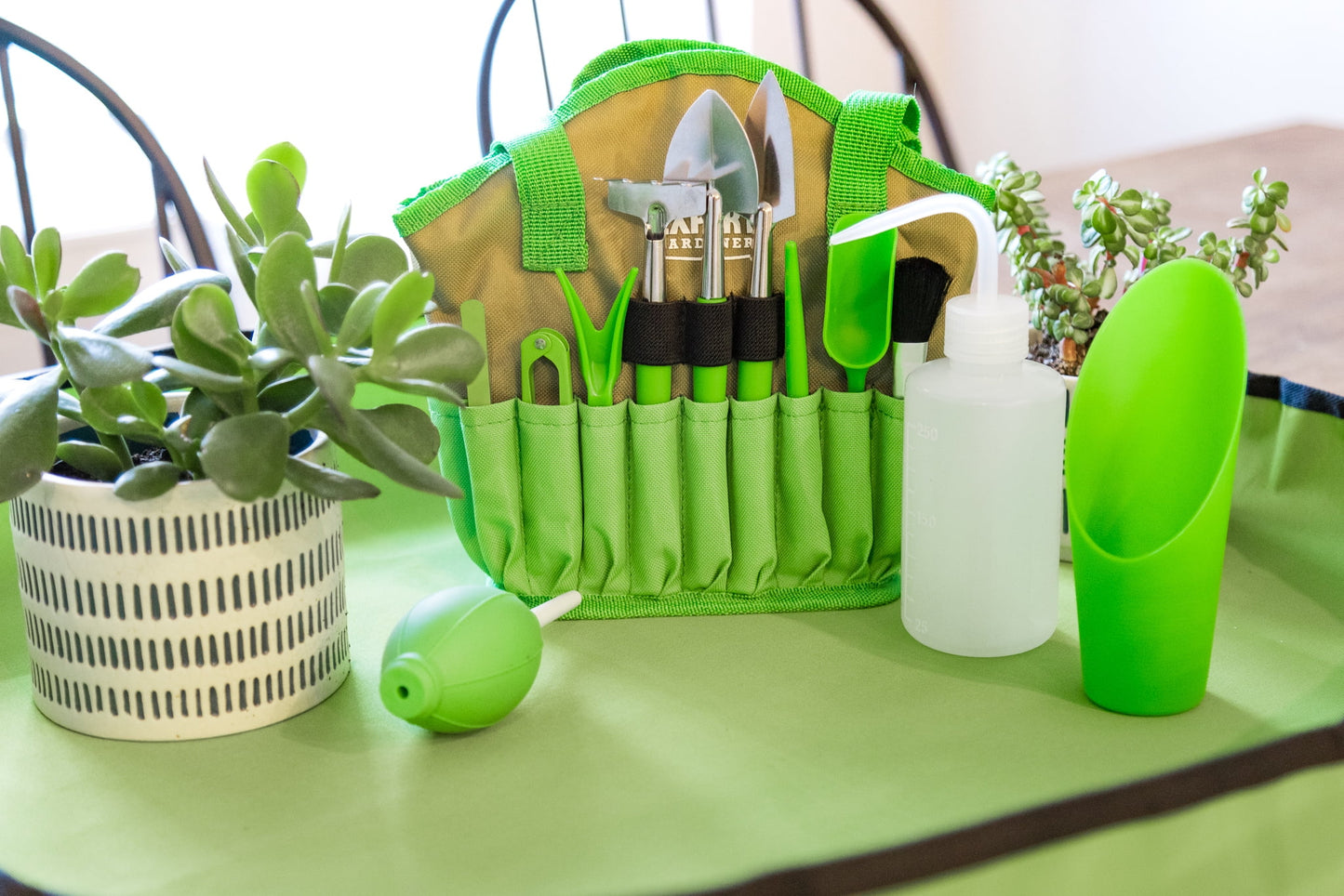 Indoor Gardening Stainless Steel Tool Set, 14 Pieces, Green - homecomforts1