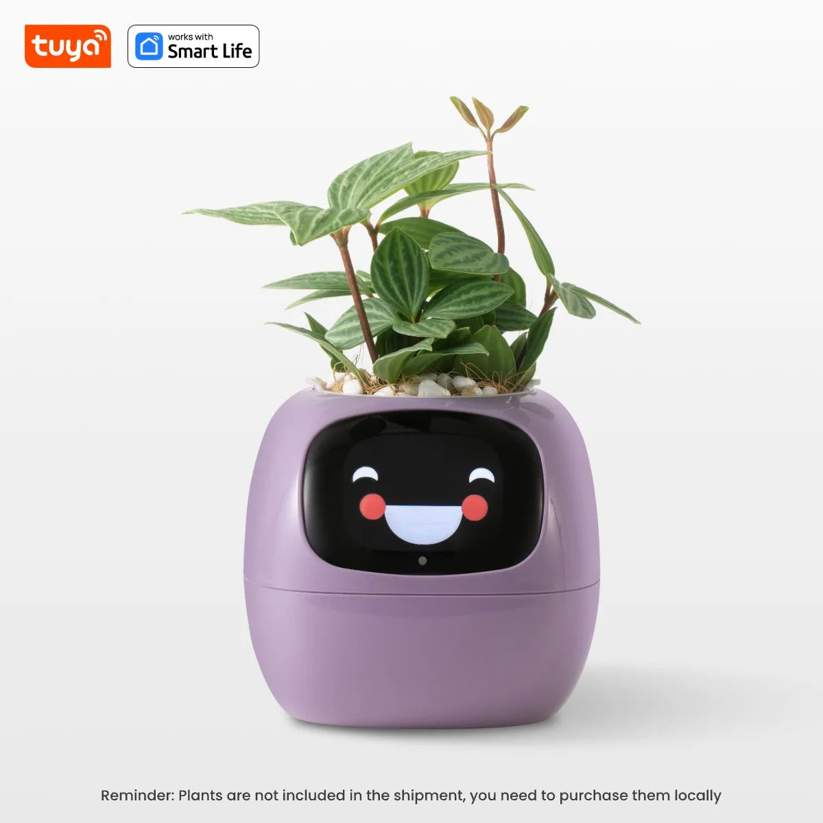 Tuya Ivy Smart Planter! - homecomforts1