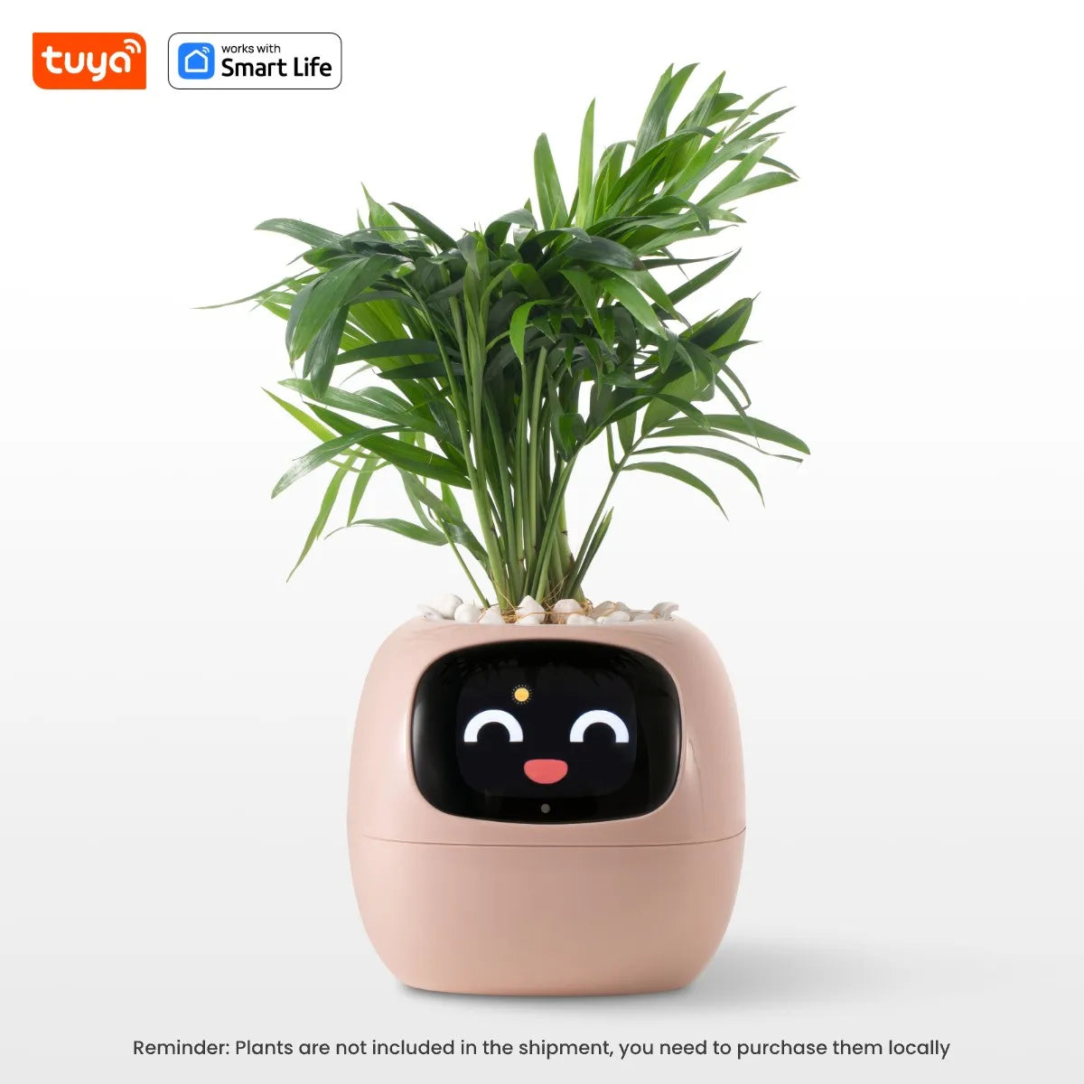 Tuya Ivy Smart Planter! - homecomforts1