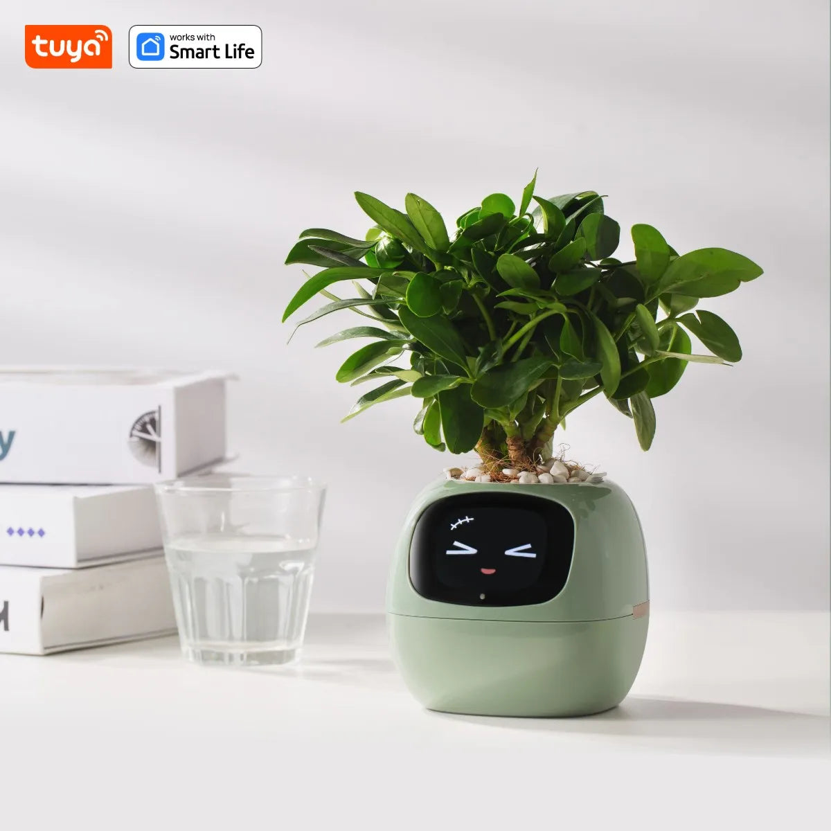 Tuya Ivy Smart Planter! - homecomforts1