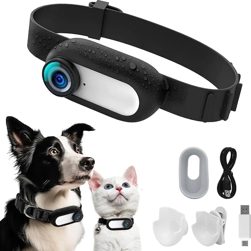 Pet Collar With Camera! - homecomforts1