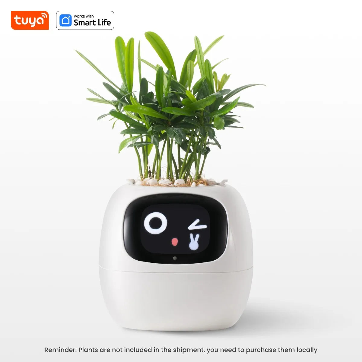 Tuya Ivy Smart Planter! - homecomforts1