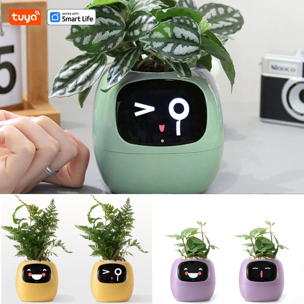 Tuya Ivy Smart Planter! - homecomforts1