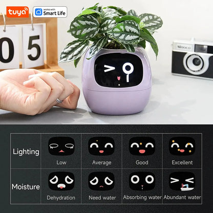 Tuya Ivy Smart Planter! - homecomforts1