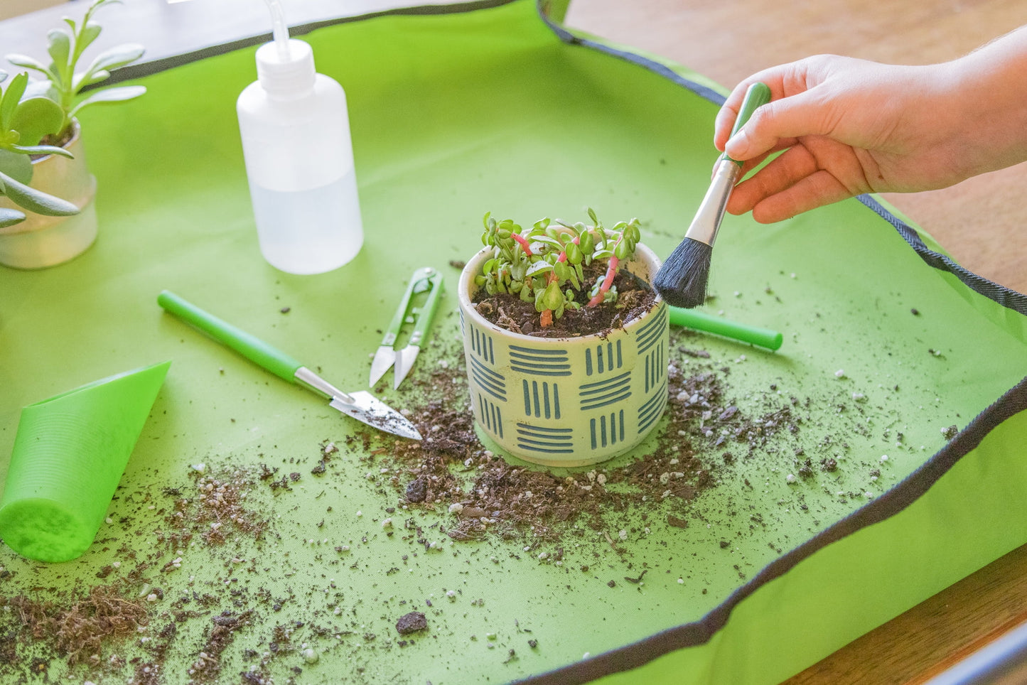 Indoor Gardening Stainless Steel Tool Set, 14 Pieces, Green - homecomforts1